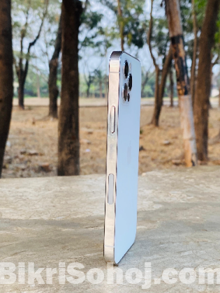 I phone 12 pro (usa veriant)